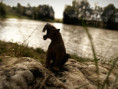 /album/fotogalerie-moje-outside-prace-/martinh-collection-outdoorphotos-august-2025-43-jpg/